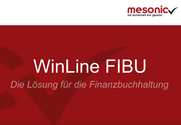 mesonic WinLine - Fibu