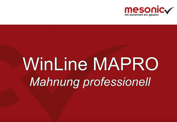 mesonic WinLine - Fibu